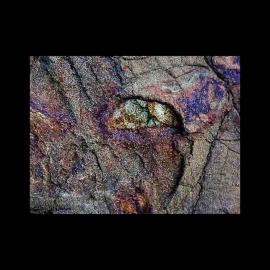 Outsider Nature Art Photography